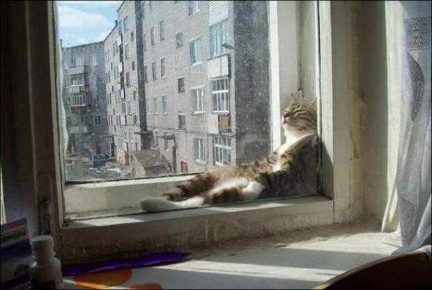 Приколы