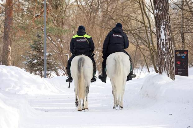 МВД хочет расширить круг граждан с правами на полицейские функции