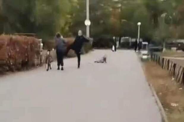 В Тольятти мужчина избил ребёнка, который на велосипеде сбил его дочь