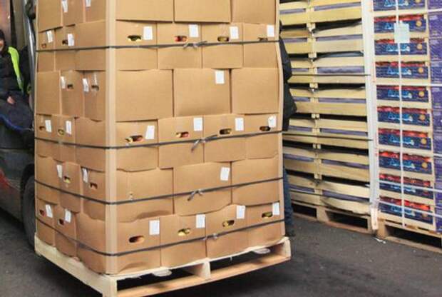 В Петербурге организовали сбор помощи жителям Дагестана после наводнения