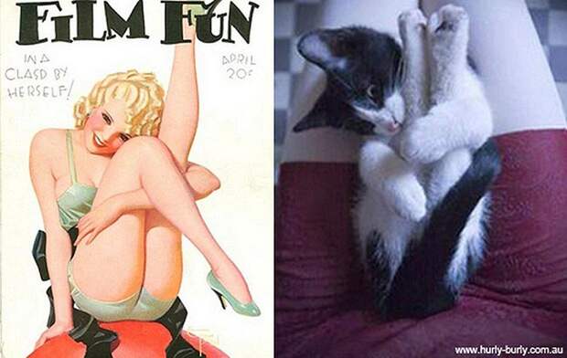 Кошки и девушки в стиле пинап pinupcats12 Кошки и девушки в стиле пинап