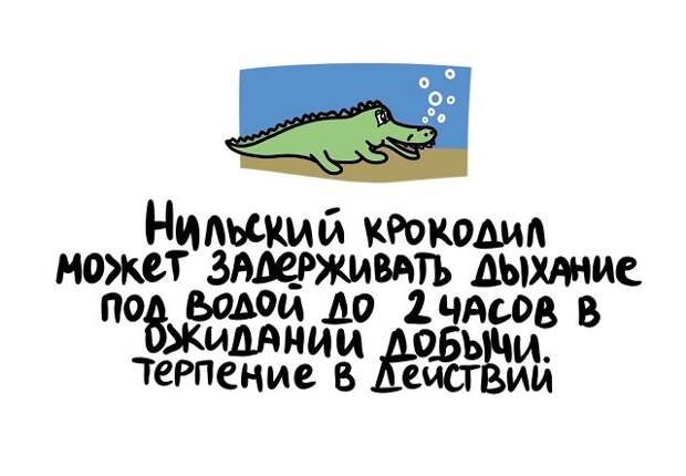 Интересные короткие факты на все случаи жизни