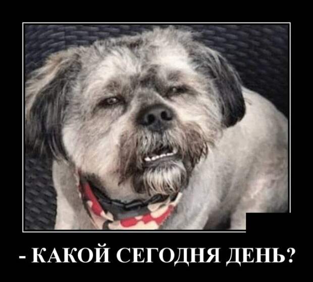 Демотиваторы (30 фото)