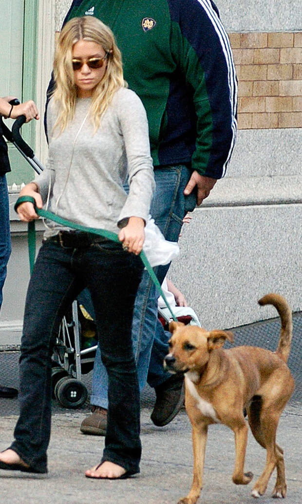Эшли Олсен и ее собаки животные, знаменитости, интересное, фото