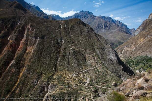 colca19 Спускаемся в глубочайший каньон на Земле