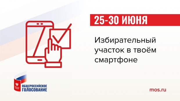 ВЦИОМ: более половины россиян готовы голосовать дистанционно