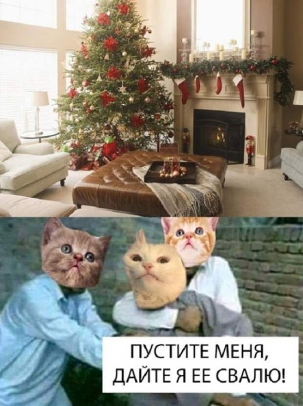 Шутки и и забавные картинки из социальных сетей (33 фото)