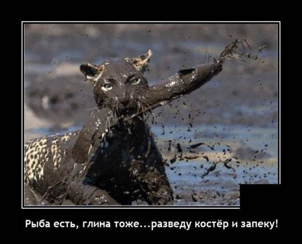 Демотиватор про рыбу