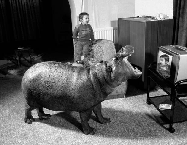 Мальчик и бегемот были очень удивлены друг другом.