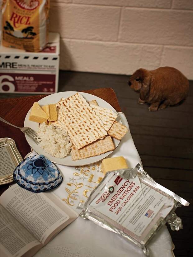 Блог - Мясо и насекомые: чем запасаются американцы, ожидающие конца света Мясо и насекомые: чем запасаются американцы, ожидающие конца света
