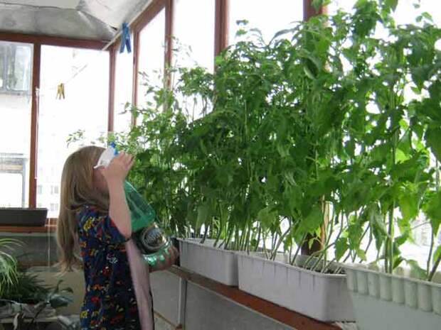 plants-may14-23.jpg