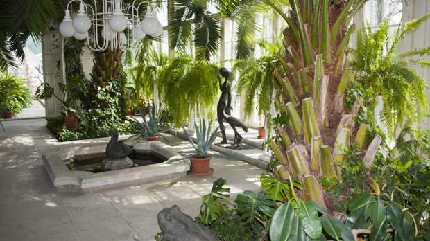 Без слез и нервов: как заменить проблемные домашние растения на простые в уходе