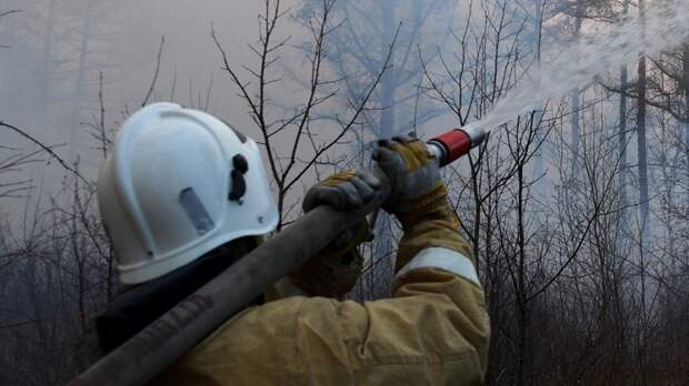 Глава Кубани Кондратьев прокомментировал ситуацию с лесными пожарами в регионе