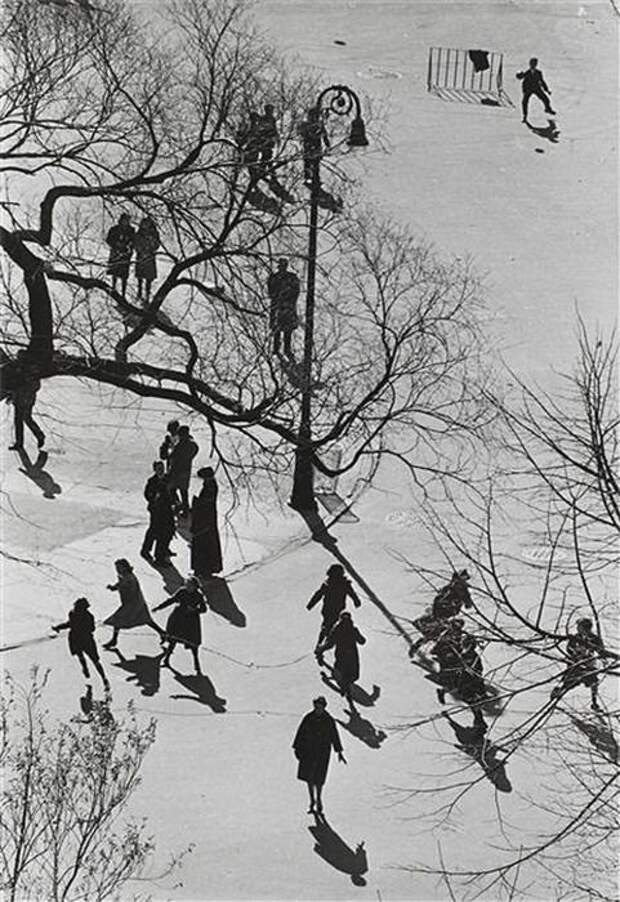 Лови момент или мастерство фотографа, подборка фотографий 2