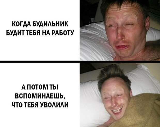 Смешные картинки 23 апреля 2021