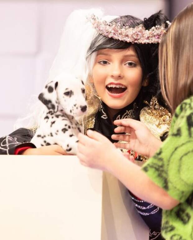 На день рождения Аллы-Виктории Киркоровой ей подарили двух щенков