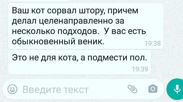 13. Когда попросили маму присмотреть за котом во время отпуска