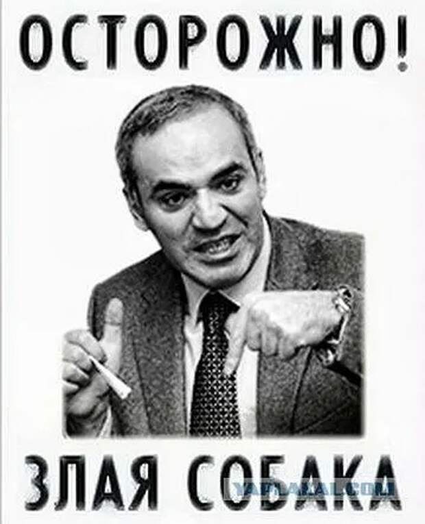 «Говорить с гражданами России не о чем – только война» – подстрекатель Каспаров