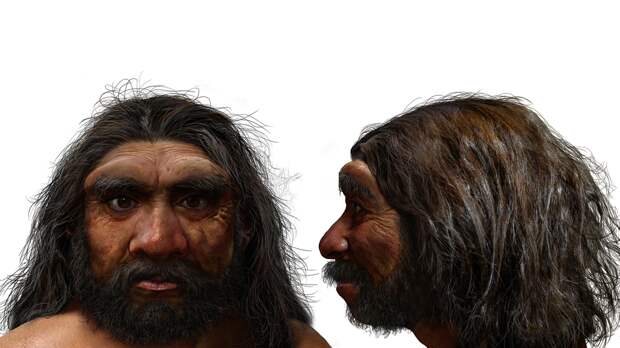 Реконструкция лица по черепу Homo longi.