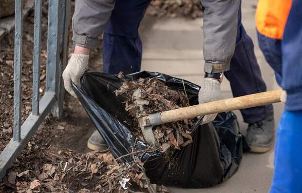 Названы районы-лидеры Тульской области по числу решенных за неделю проблем