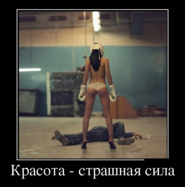 Новые демотиваторы (24 шт)