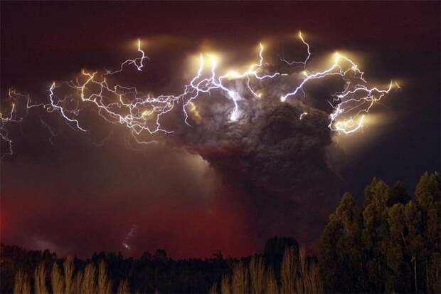 Лучшие снимки Reuters 2011. Часть 2. (22 фото)