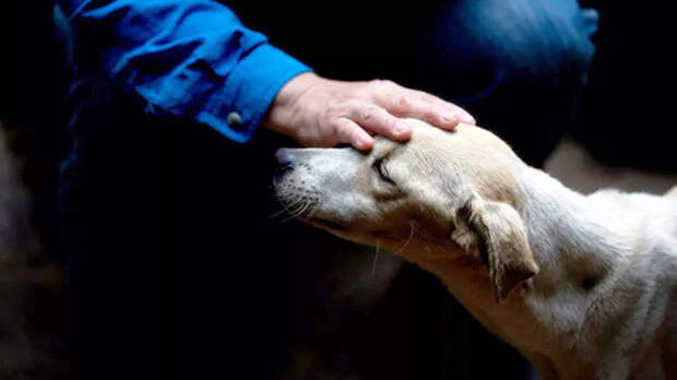 источник фото: interesnoznat.com