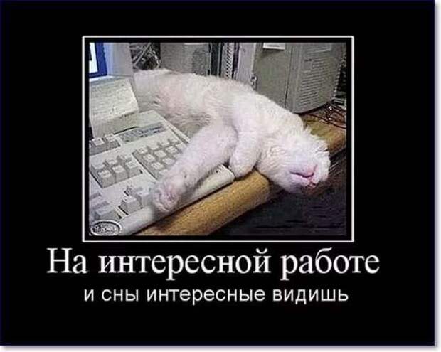 Смешные комментарии. Подборка chert-poberi-kom-chert-poberi-kom-43040703092020-4 картинка chert-poberi-kom-43040703092020-4