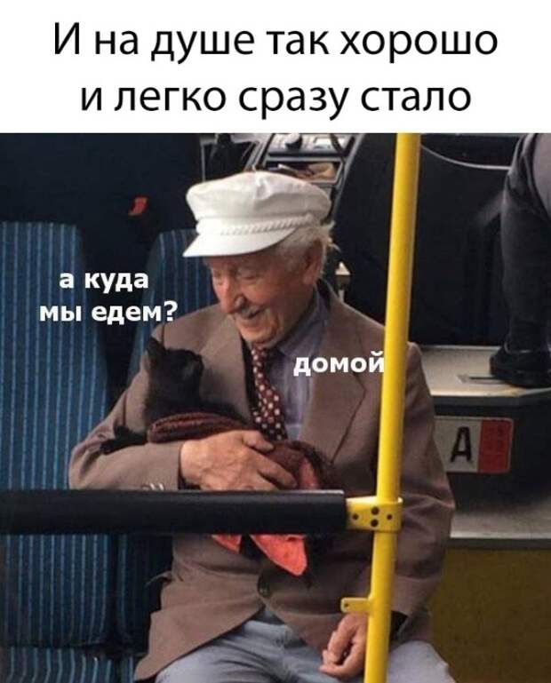 Подборка картинок. Вечерний выпуск (20 фото)