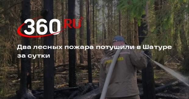 Два лесных пожара потушили в Шатуре за сутки