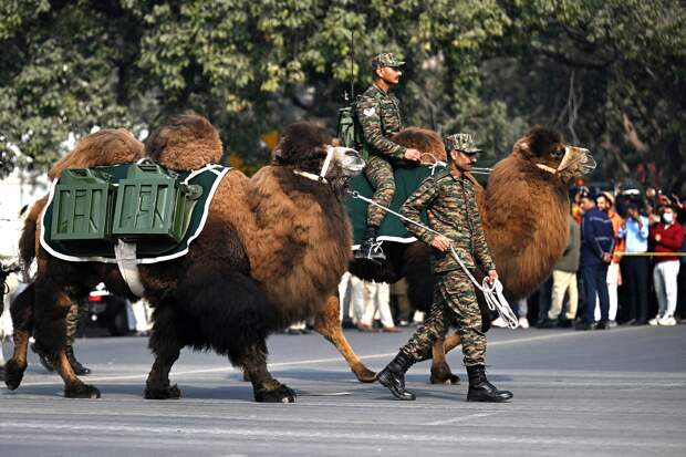 Военный парад в Индии проходит с национальной изюминкой