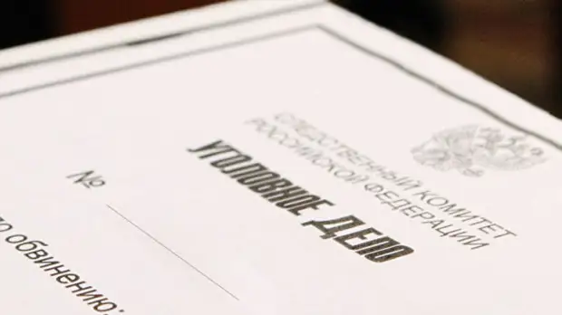 В Москве с начала года завели 75 уголовных дел о сбыте фиктивных COVID-справок