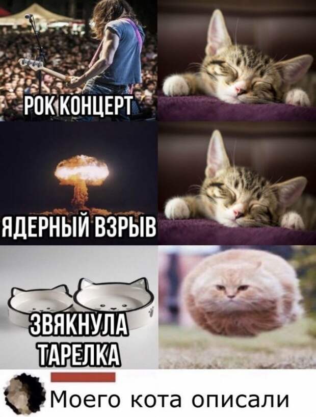 Смешные комментарии к постам в социальных сетях