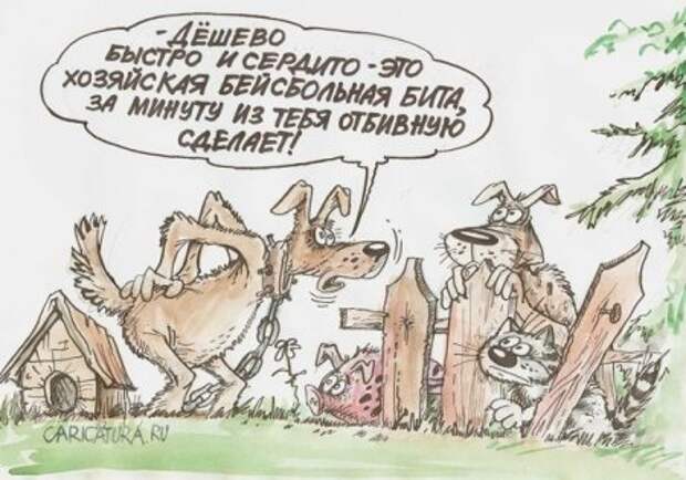 Карикатуры на среду