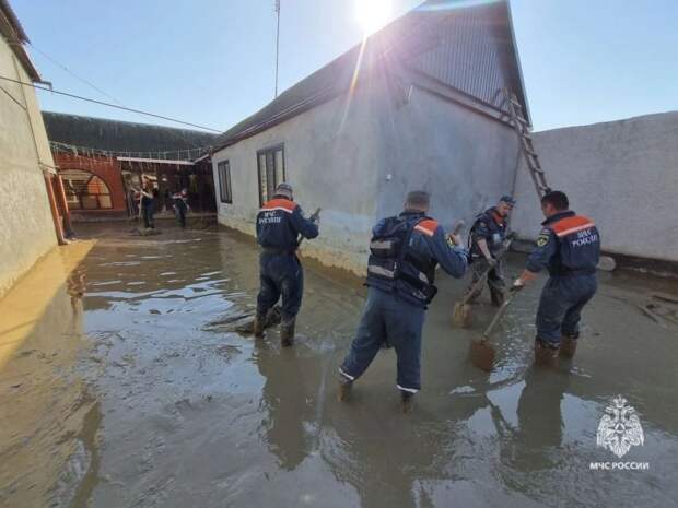 Тульские спасатели помогли расчистить и дезинфицировать территории в Дагестане