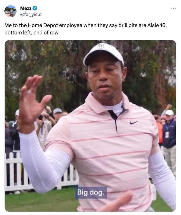 best of the Tiger Woods Big Dog meme