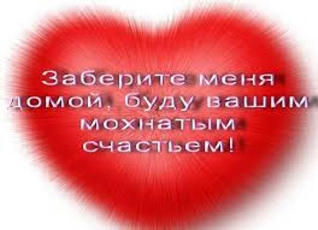 Грязная, вся в мазуте, она жалась к асфальту(((
