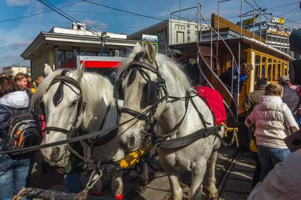Парад трамваев в Москве Парад трамваев в Москве авто, трамвай