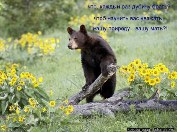 Лучшие котоматрицы недели (50 фото) Лучшие котоматрицы недели (50 фото)