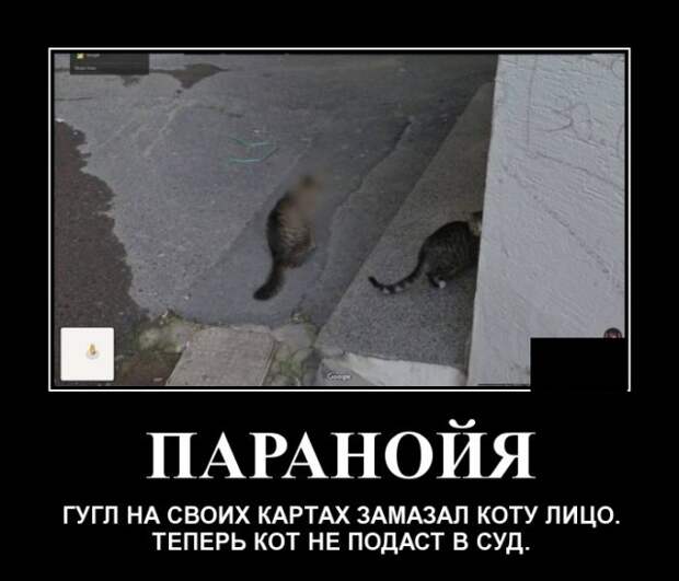 Демотиваторы (20 фото)