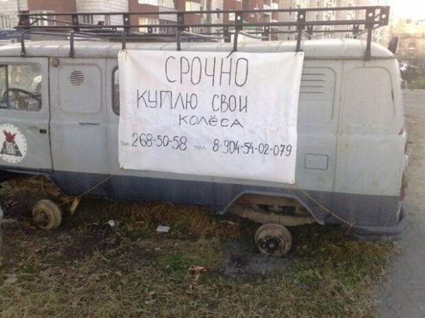 Крик души Крик души