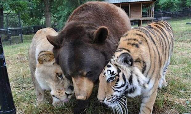 http://oneweekend.ru/wp-content/uploads/2014/12/preview-650x390-650-1400841665.jpg