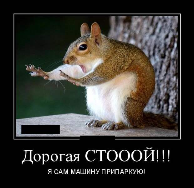 Демотиваторы (20 фото)