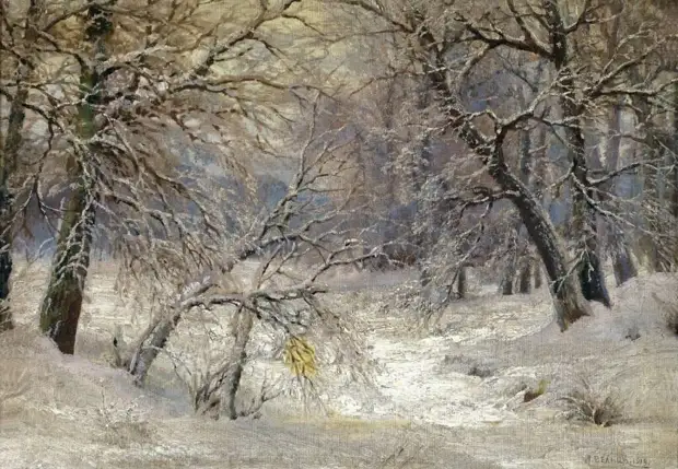 �������� ���� �����