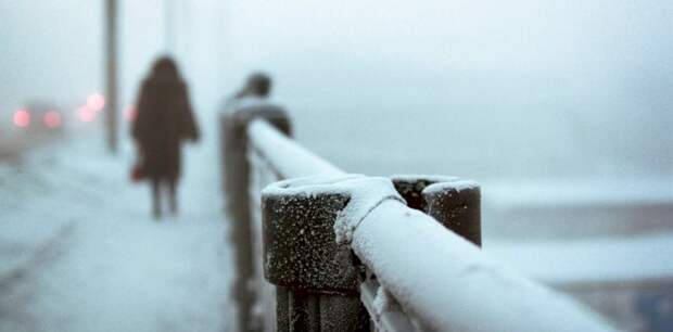 До -42. На смену метелям и снегопадам в Алтайском крае вновь придут крепкие морозы