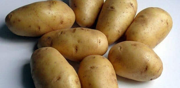 Самые вкусные сорта картофеля: Фото 1