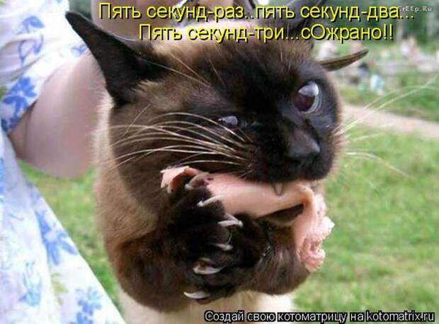 Мысли вслух :)