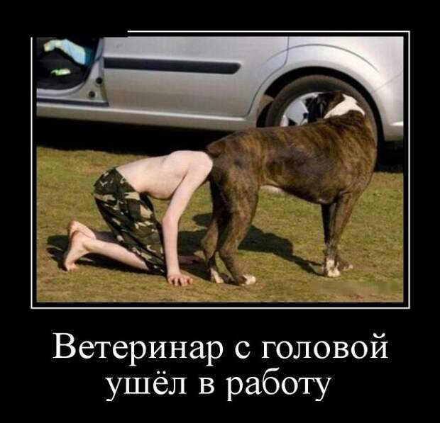 Демотиваторы (30 фото)