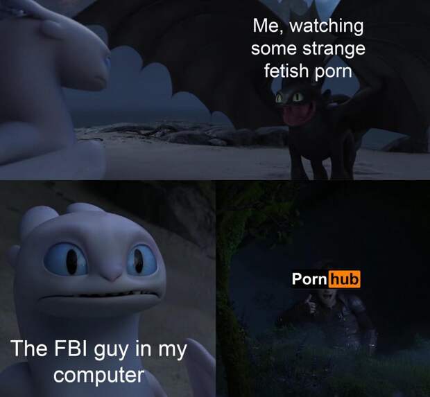 Toothless dragon and Light Fury memes
