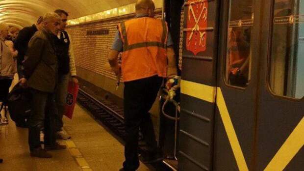 Пассажир попал под поезд метро в Петербурге и погиб Пассажир попал под поезд метро в Петербурге и погиб